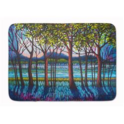 19 x 27 in. Tanzanite River Machine Washable Memory Foam Mat