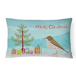 12 x 3 x 16 in. Thrush Merry Christmas Canvas Fabric Decorative Pillow