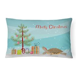 12 x 3 x 16 in. Pond Slider Turtle Merry Christmas Canvas Fabric Decorative Pillow