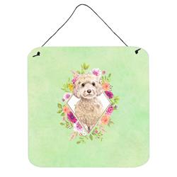 6 x 6 in. Champagne Cockapoo Green Flowers Wall or Door Hanging Prints