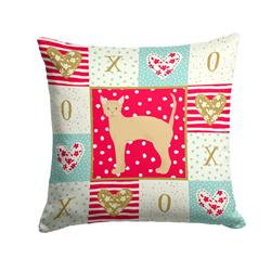 14 x 3 x 14 in. German Rex No.2 Cat Love Fabric Decorative Pillow