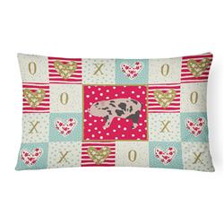 12 x 3 x 16 in. Mini Miniature Pig Love Canvas Fabric Decorative Pillow