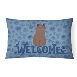 Picture of Carolines Treasures CK5076PW1216 12 x 3 x 16 in. York Chocolate Cat Welcome Canvas Fabric Decorative Pillow