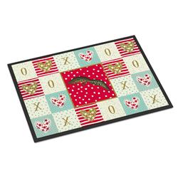 24 x 36 in. Newt Indoor or Outdoor Mat
