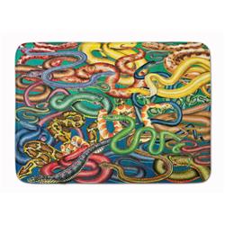 19 x 27 in. Snakes Machine Washable Memory Foam Mat