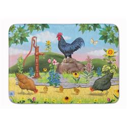 19 x 27 in. Rooster & Water Pump Machine Washable Memory Foam Mat
