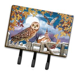 PRS4032TH68 6 x 2 x 9 in. Short-Eared Owl in the Churchyard Leash or Key Holder