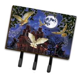 6 x 2 x 9 in. Halloween Owl Express Leash or Key Holder