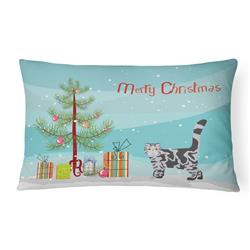 12 x 3 x 16 in. Foldex Exotic Fold No.1 Cat Merry Christmas Canvas Fabric Decorative Pillow