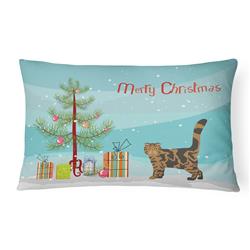 12 x 3 x 16 in. Foldex Exotic Fold No.2 Cat Merry Christmas Canvas Fabric Decorative Pillow