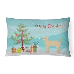 12 x 3 x 16 in. German Rex No.2 Cat Merry Christmas Canvas Fabric Decorative Pillow