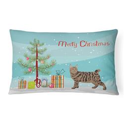12 x 3 x 16 in. Pixie Bob No.3 Cat Merry Christmas Canvas Fabric Decorative Pillow