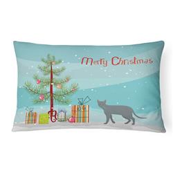 12 x 3 x 16 in. Raas Cat Merry Christmas Canvas Fabric Decorative Pillow
