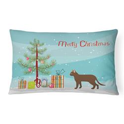 12 x 3 x 16 in. Suphalak Cat Merry Christmas Canvas Fabric Decorative Pillow