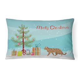12 x 3 x 16 in. Toyger Cat Merry Christmas Canvas Fabric Decorative Pillow
