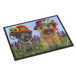 18 x 27 in. Cairn Terrier Sisters Indoor or Outdoor Mat