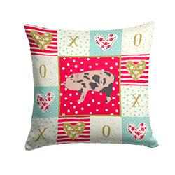 14 x 3 x 14 in. Mini Miniature Pig Love Fabric Decorative Pillow