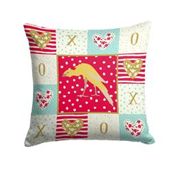 14 x 3 x 14 in. Belgian Hunchback Canary Love Fabric Decorative Pillow