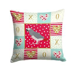 14 x 3 x 14 in. African Grey Parrot Love Fabric Decorative Pillow