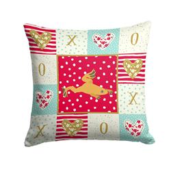 14 x 3 x 14 in. Aquarium Frog Fabric Decorative Pillow