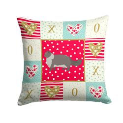 14 x 3 x 14 in. Persian Modern No.2 Cat Love Fabric Decorative Pillow
