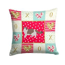 Picture of Carolines Treasures CK5688PW1414 14 x 3 x 14 in. Ragdoll No.3 Cat Love Fabric Decorative Pillow