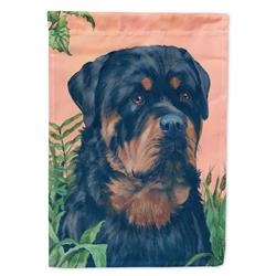 11 x 0.01 x 15 in. Rottweiler Garden Flag