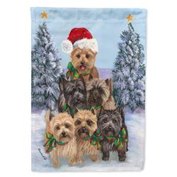 28 x 0.01 x 40 in. Cairn Terrier Christmas Family Tree Canvas House Flag