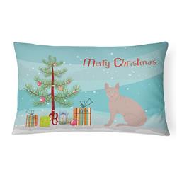 12 x 3 x 16 in. Don Sphynx Cat Merry Christmas Canvas Fabric Decorative Pillow