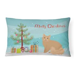 12 x 3 x 16 in. Selkirk Rex Cat Merry Christmas Canvas Fabric Decorative Pillow