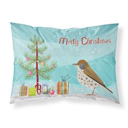 30 x 0.15 x 20.5 in. Thrush Merry Christmas Fabric Standard Pillowcase