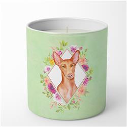 10 oz Pharaoh Hound Green Flowers Decorative Soy Candle