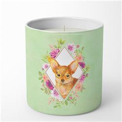 10 oz Toy Terrier Green Flowers Decorative Soy Candle