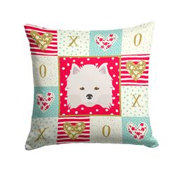 14 x 3 x 14 in. American Eskimo Love Fabric Decorative Pillow