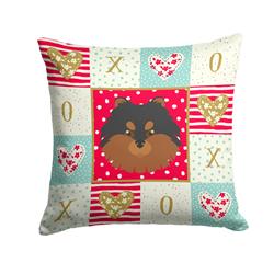 14 x 3 x 14 in. Pomeranian Love Fabric Decorative Pillow