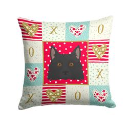 14 x 3 x 14 in. Schipperke Love Fabric Decorative Pillow