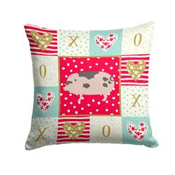 14 x 3 x 14 in. Gloucester Old Spot Pig Love Fabric Decorative Pillow