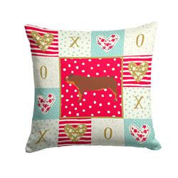 14 x 3 x 14 in. Duroc Pig Love Fabric Decorative Pillow