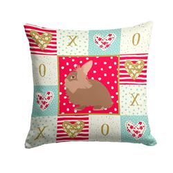 14 x 3 x 14 in. Lionhead Rabbit Love Fabric Decorative Pillow