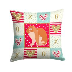 14 x 3 x 14 in. English Lop Rabbit Love Fabric Decorative Pillow