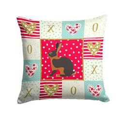 14 x 3 x 14 in. Tan Rabbit Love Fabric Decorative Pillow