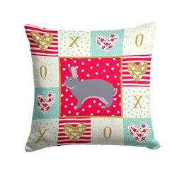 14 x 3 x 14 in. Giant Chinchilla Rabbit Love Fabric Decorative Pillow