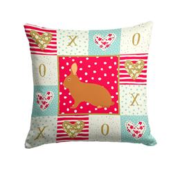 14 x 3 x 14 in. Rex Rabbit Love Fabric Decorative Pillow