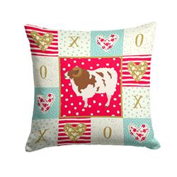 14 x 3 x 14 in. Jacob Sheep Love Fabric Decorative Pillow