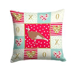 14 x 3 x 14 in. Jersey Buff Turkey Hen Love Fabric Decorative Pillow