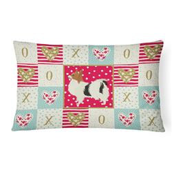 12 x 3 x 16 in. Papillon Love Canvas Fabric Decorative Pillow