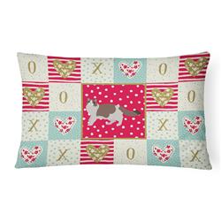12 x 3 x 16 in. Ragdoll No.3 Cat Love Canvas Fabric Decorative Pillow