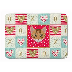 19 x 27 in. Cheetoh Cat Love Machine Washable Memory Foam Mat