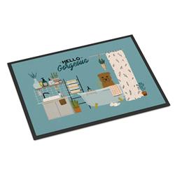 CK7482JMAT 24 x 36 in. Tan Glen of Imal in Bathtub Indoor or Outdoor Mat