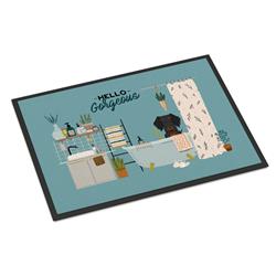 CK7549JMAT 24 x 36 in. Black Tan Wire Haired Dachshund in Bathtub Indoor or Outdoor Mat